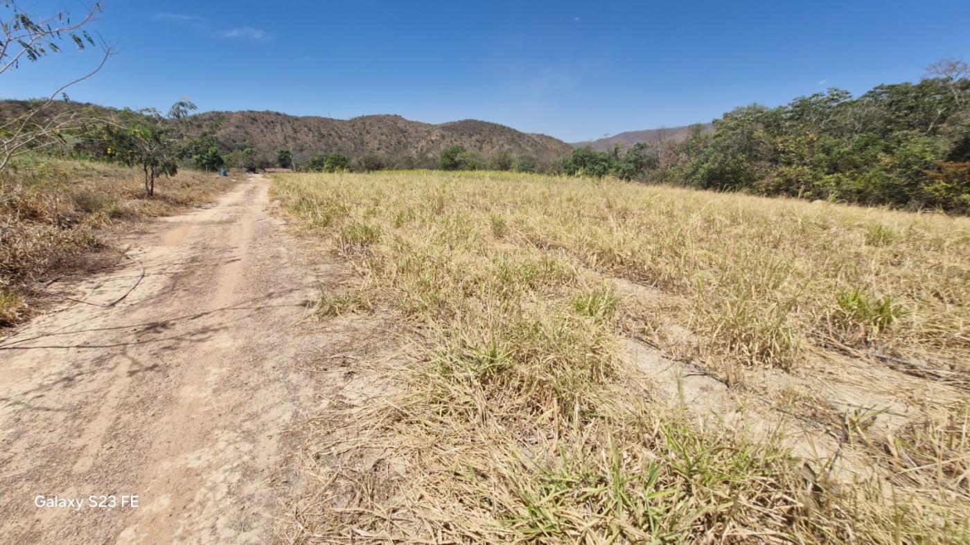 Fazenda à venda com 4 quartos, 1180000m² - Foto 10