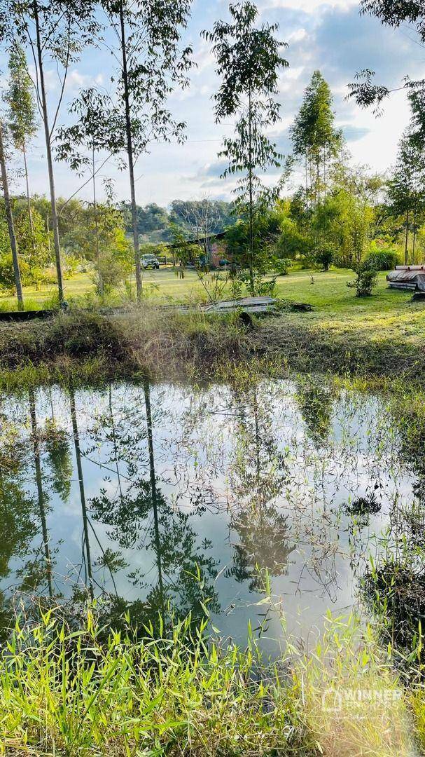 Chácara à venda com 3 quartos, 3250M2 - Foto 4