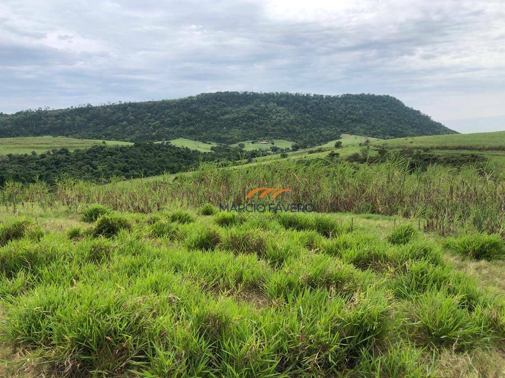 Fazenda à venda, 5808000M2 - Foto 16