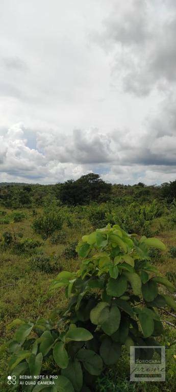 Fazenda à venda, 26790000M2 - Foto 5