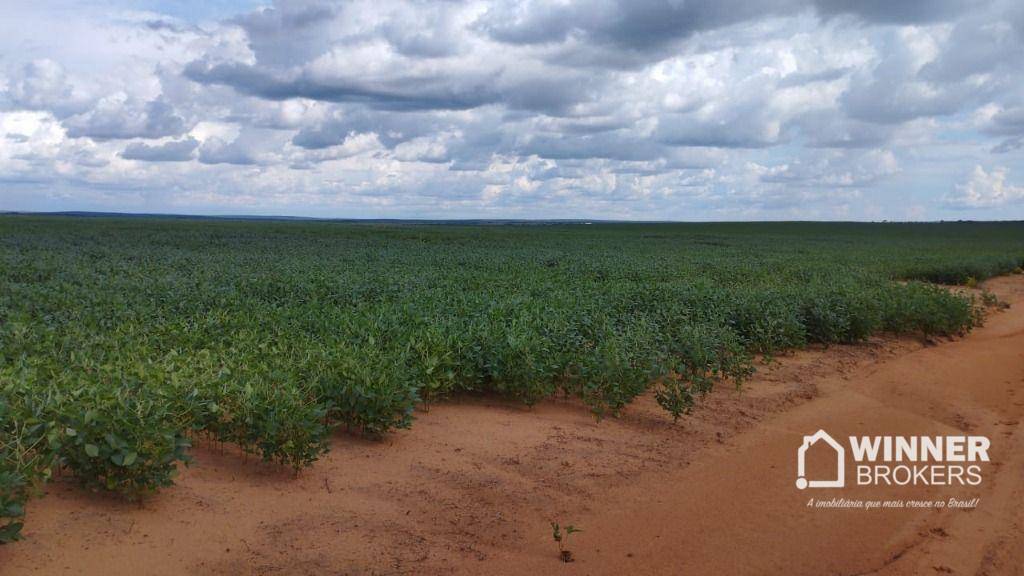 Fazenda, 930 hectares - Foto 5