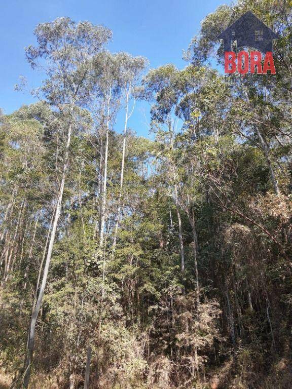 Loteamento e Condomínio à venda, 1300M2 - Foto 3