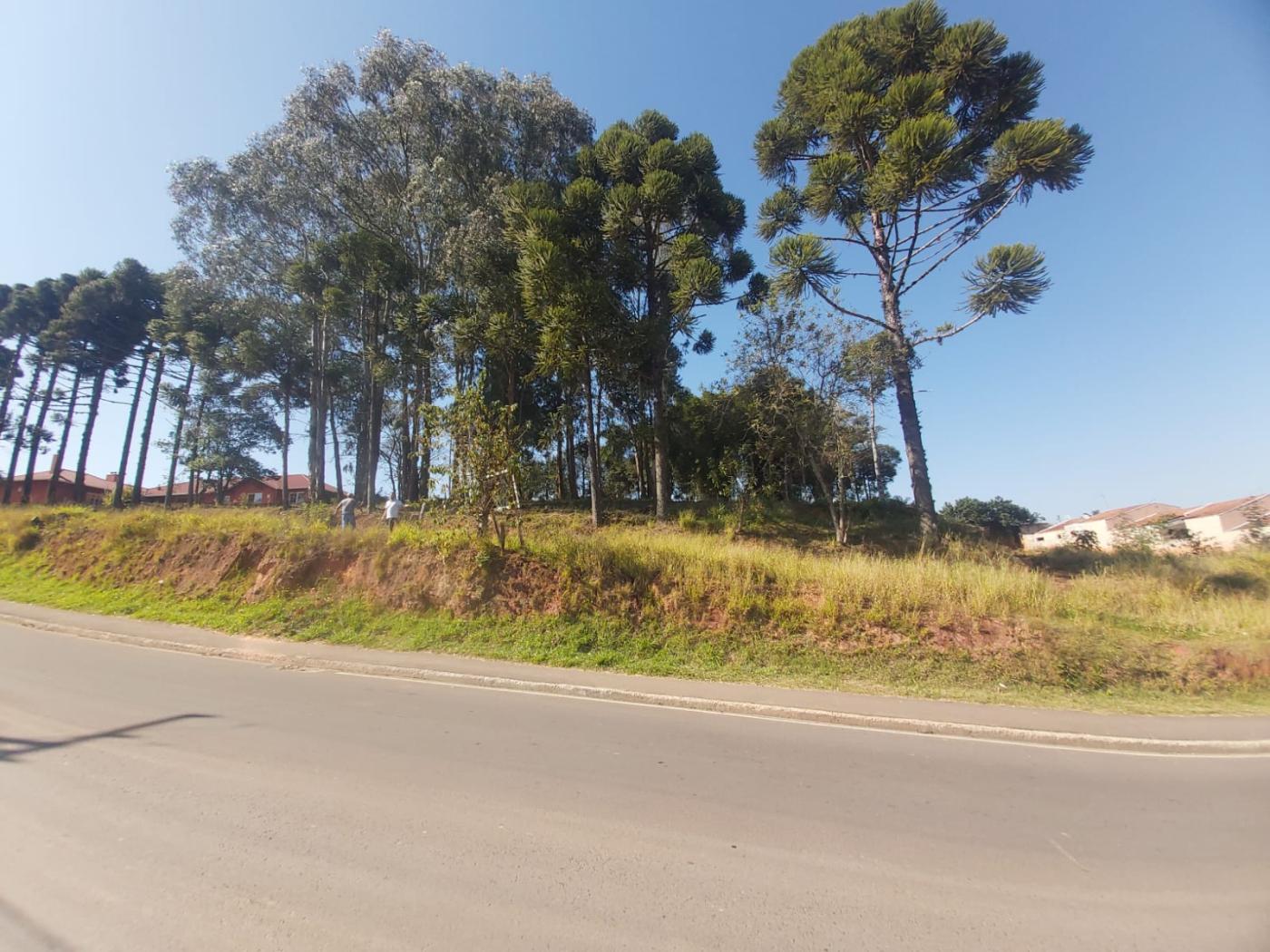 Terreno à venda, 902m² - Foto 10