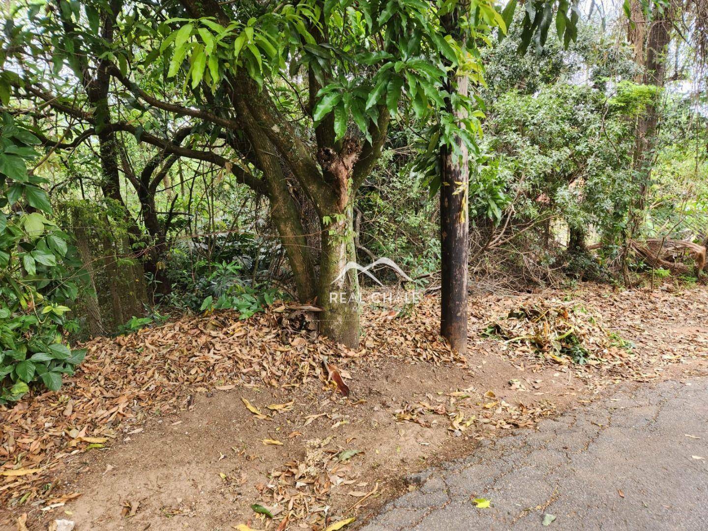 Loteamento e Condomínio à venda, 1000M2 - Foto 3