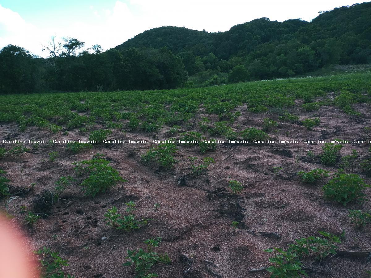 Fazenda à venda, 250000m² - Foto 12