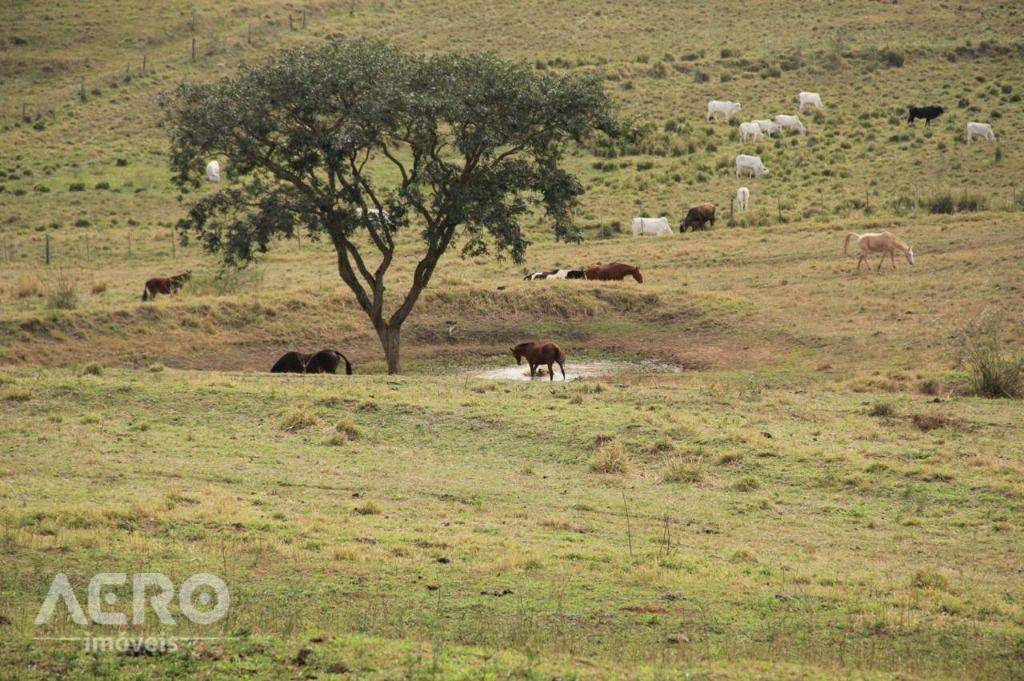 Fazenda à venda com 3 quartos, 400m² - Foto 33