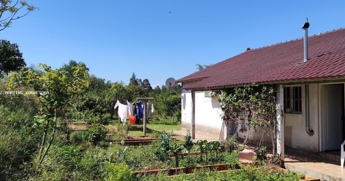 Fazenda à venda com 3 quartos, 5000m² - Foto 7