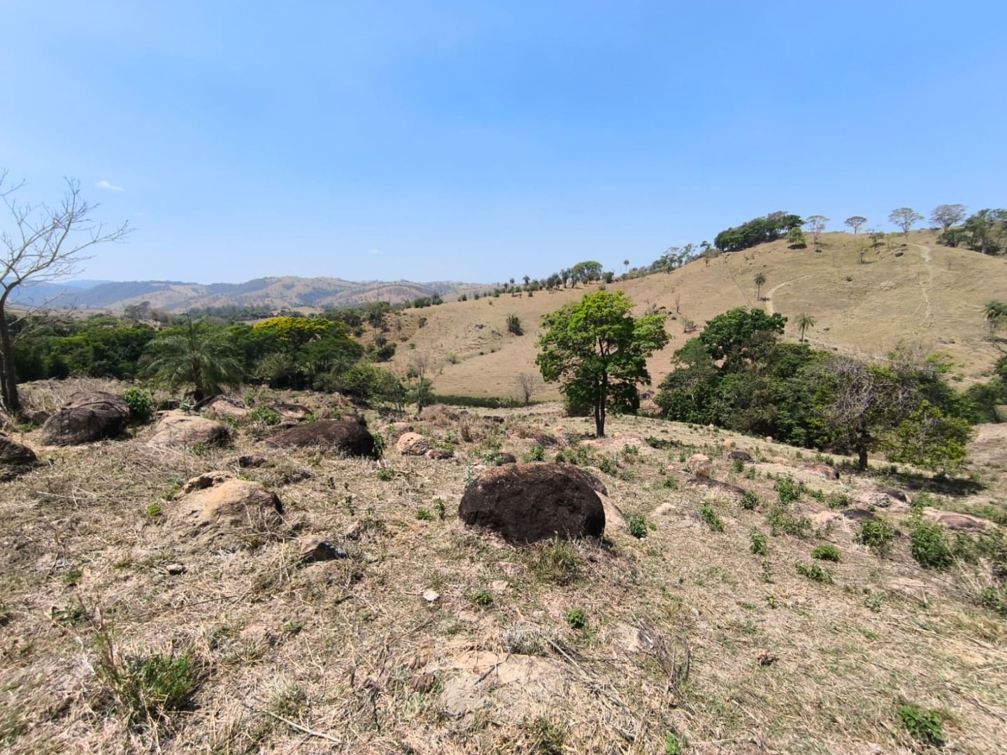 Sítio à venda com 8 quartos, 186000M2 - Foto 17