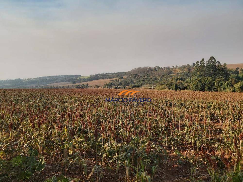 Fazenda, 51 hectares - Foto 1