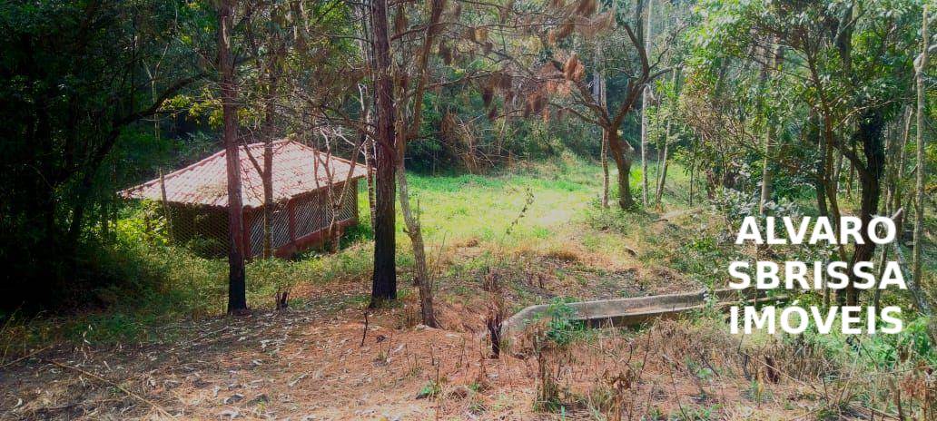 Sítio, 1 quarto, 14 hectares - Foto 29