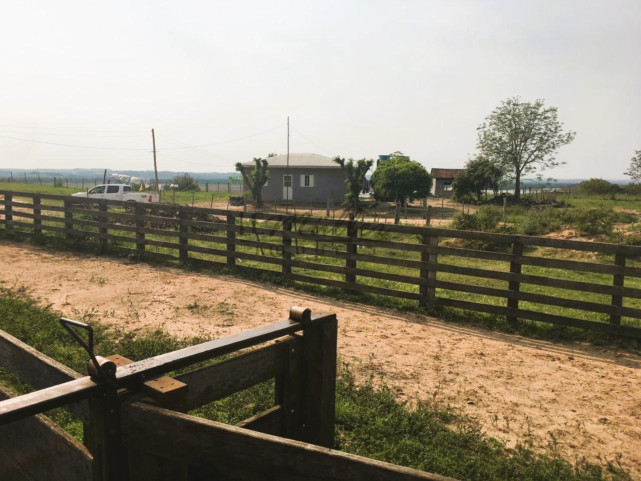 Fazenda à venda, 188m² - Foto 5