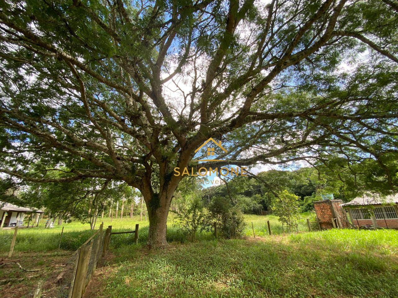 Terreno, 1800 m² - Foto 1