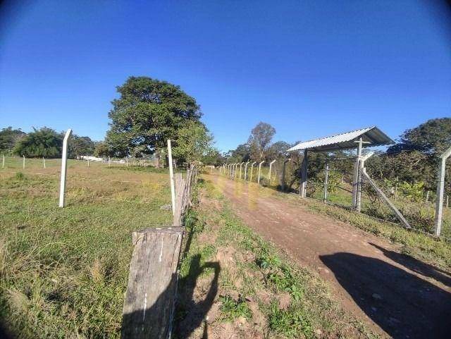 Terreno à venda, 2100M2 - Foto 5