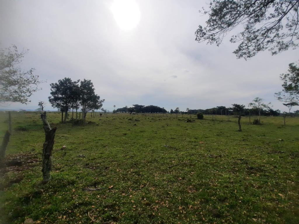 Fazenda à venda com 1 quarto, 25000m² - Foto 13