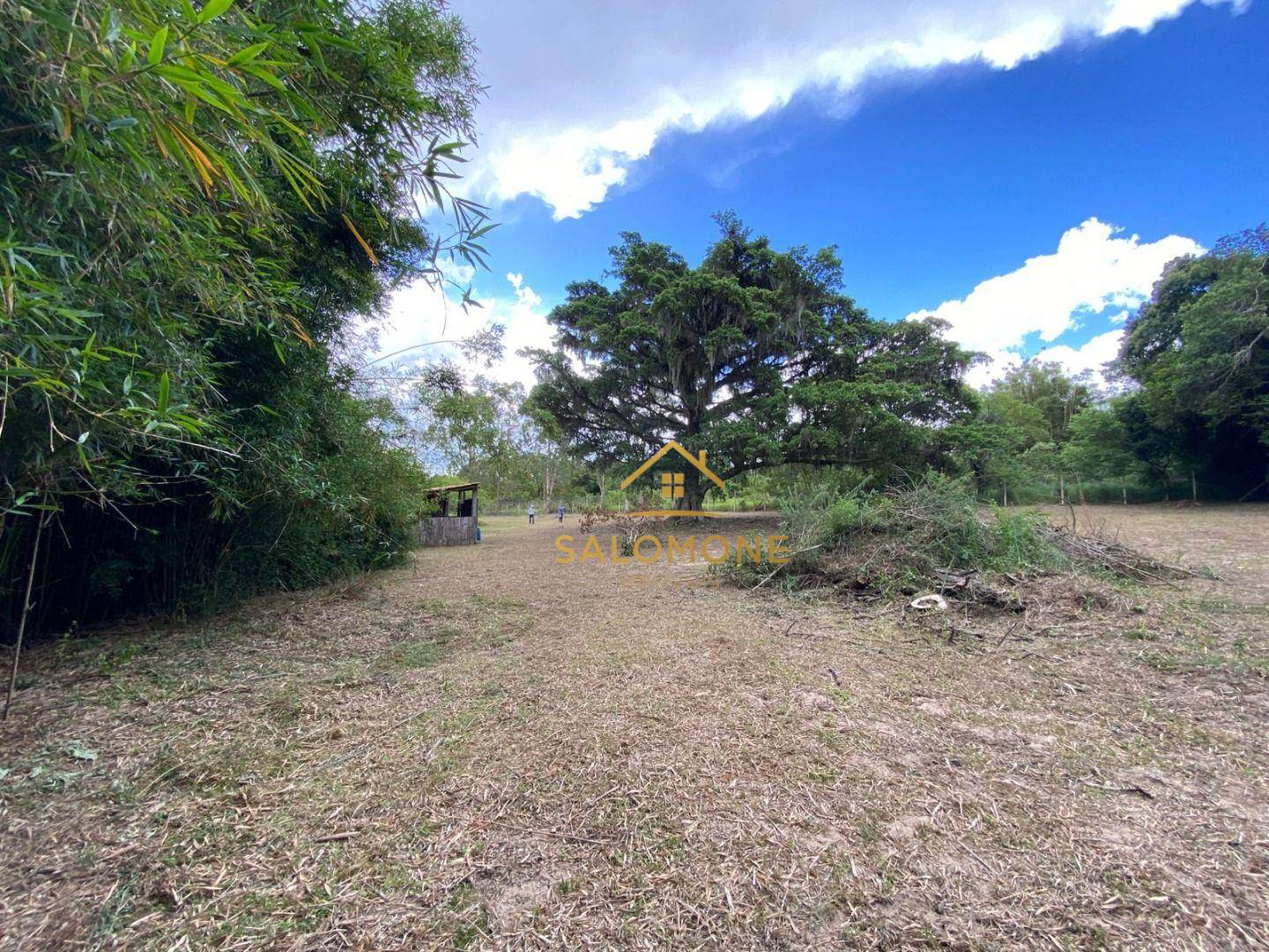 Loteamento e Condomínio, 5300 m² - Foto 5