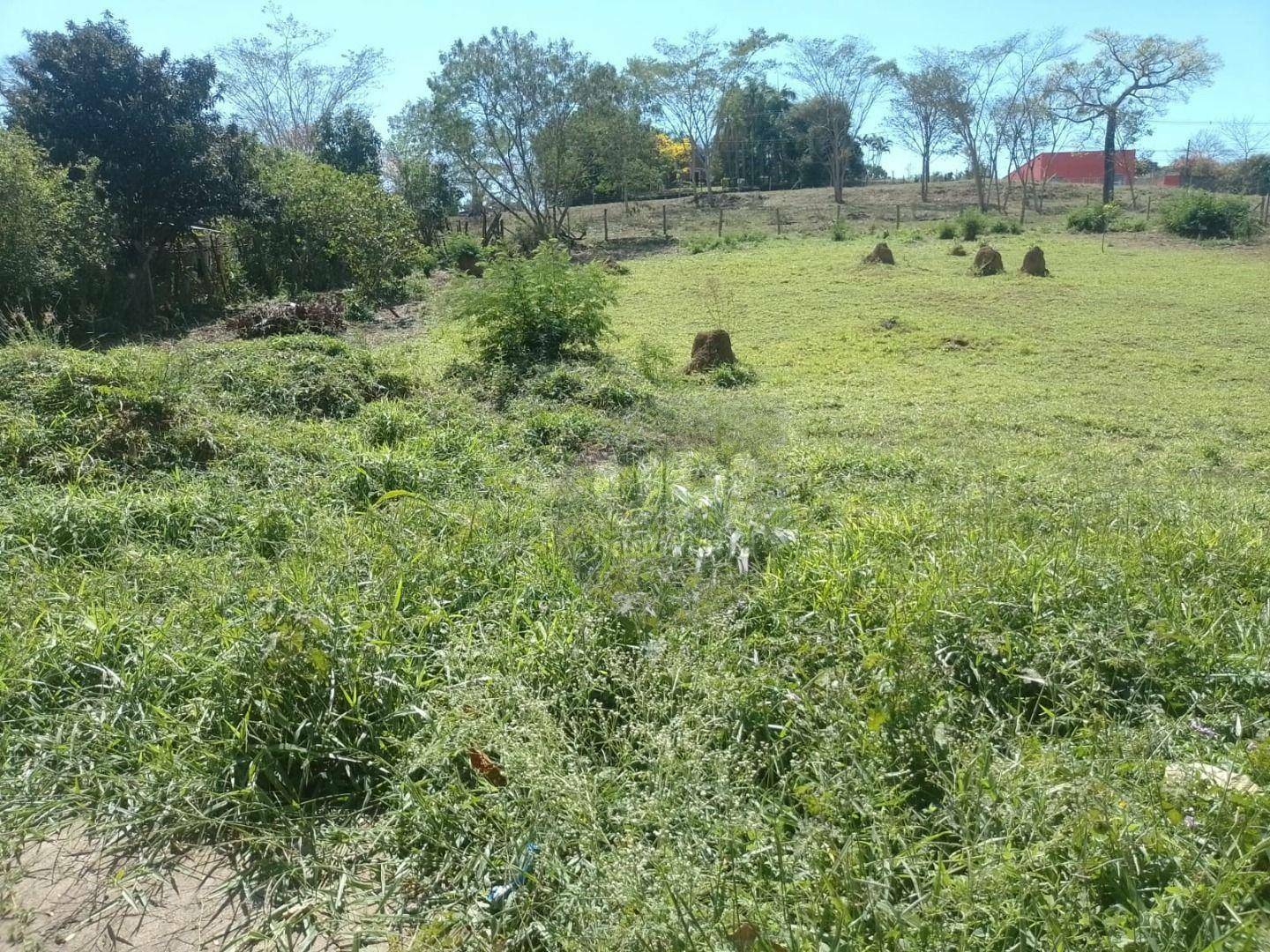 Terreno à venda, 1000M2 - Foto 4