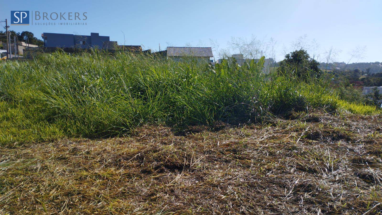 Terreno, 250 m² - Foto 2