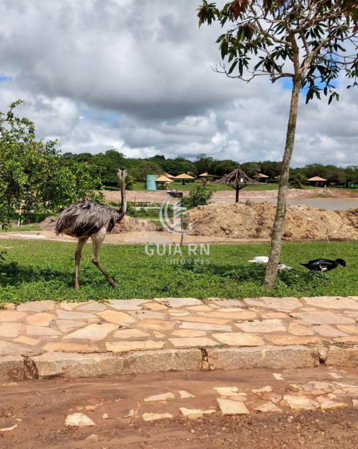 Terreno, 1756 m² - Foto 9