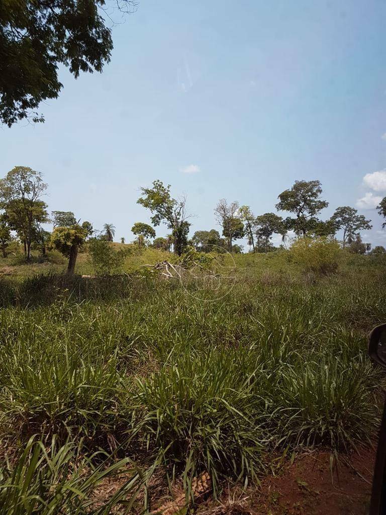 Fazenda à venda, 31460000M2 - Foto 5