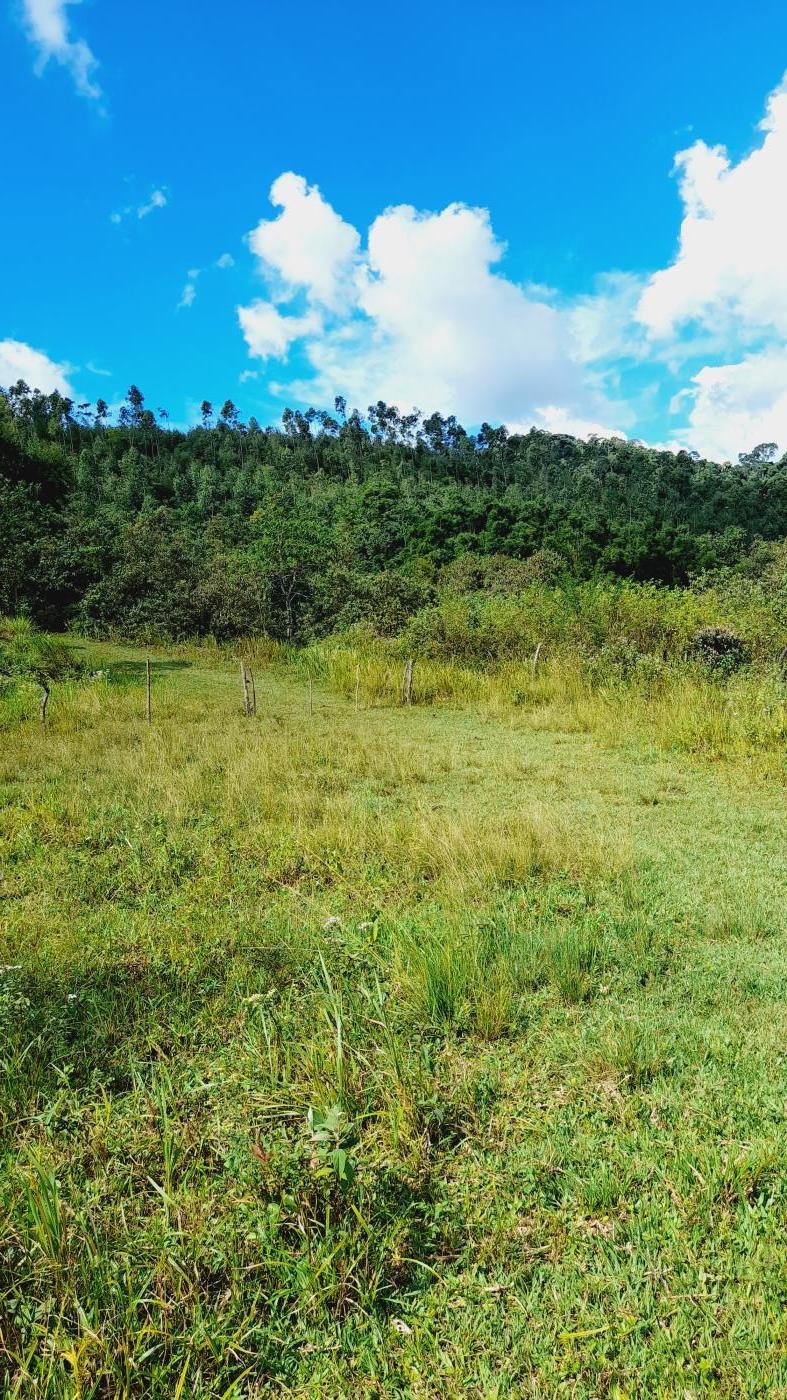 Fazenda à venda com 2 quartos, 17m² - Foto 15