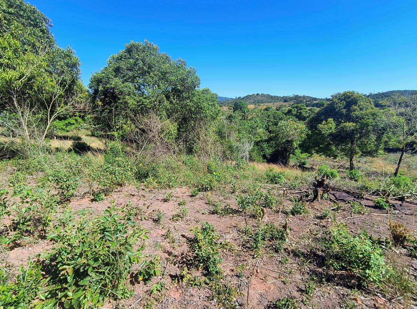 Terreno à venda, 7614m² - Foto 5