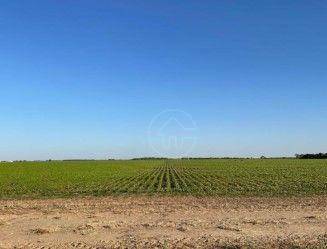 Fazenda à venda, 49260000M2 - Foto 12