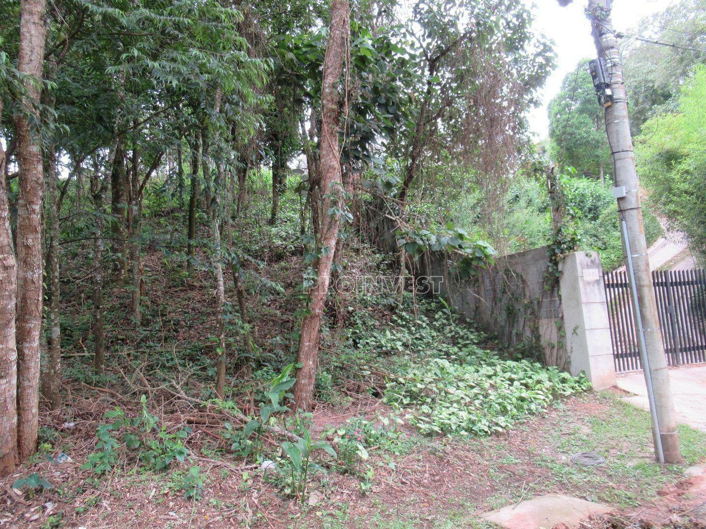 Loteamento e Condomínio à venda, 1004M2 - Foto 6