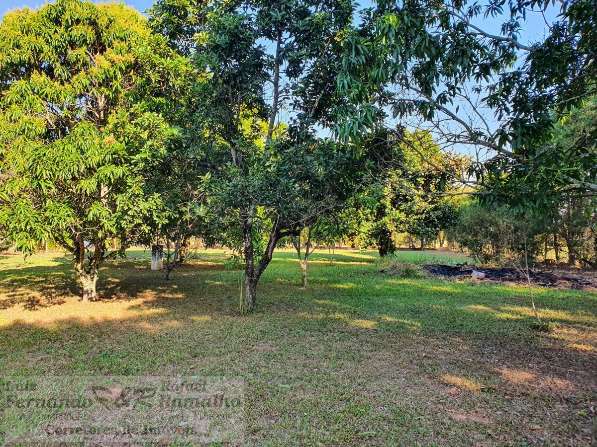 Chácara à venda com 4 quartos, 5600m² - Foto 58