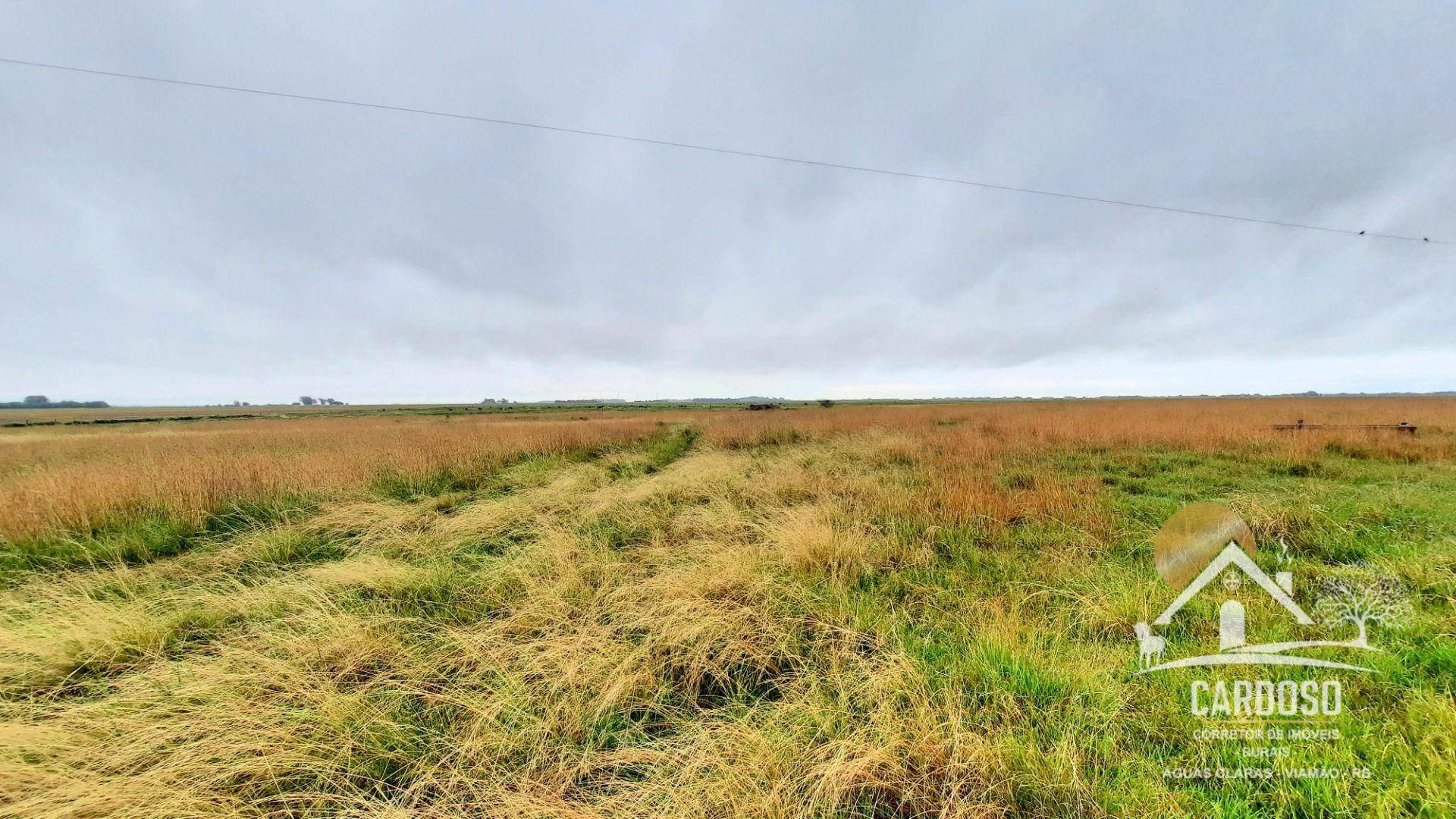 Fazenda à venda, 1830000M2 - Foto 8