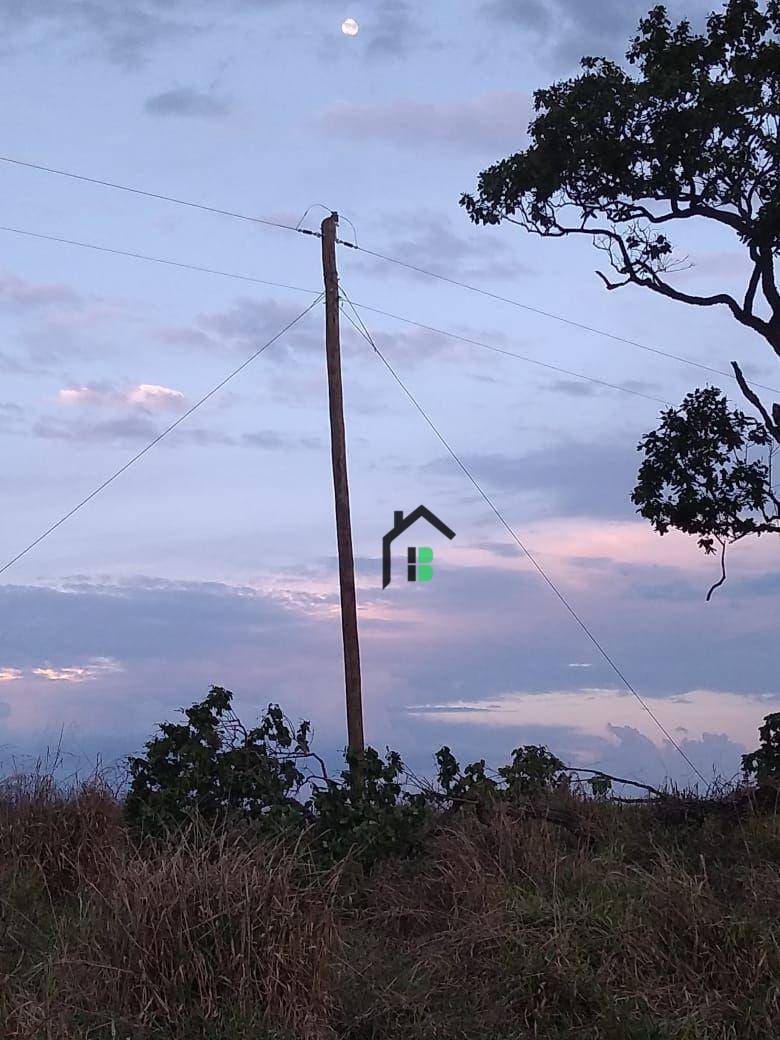 Chácara, 2 hectares - Foto 8