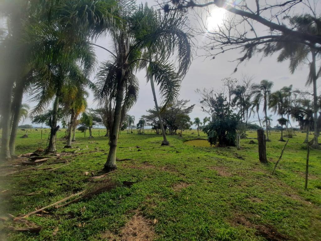 Fazenda à venda com 1 quarto, 25000m² - Foto 12