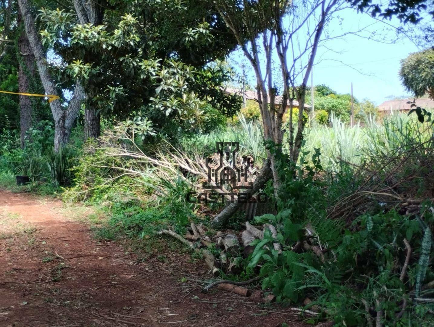 Chácara à venda com 3 quartos, 16720M2 - Foto 7