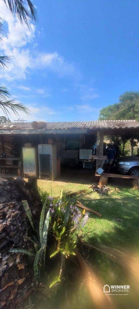 Sítio, 2 quartos, 4 hectares - Foto 2