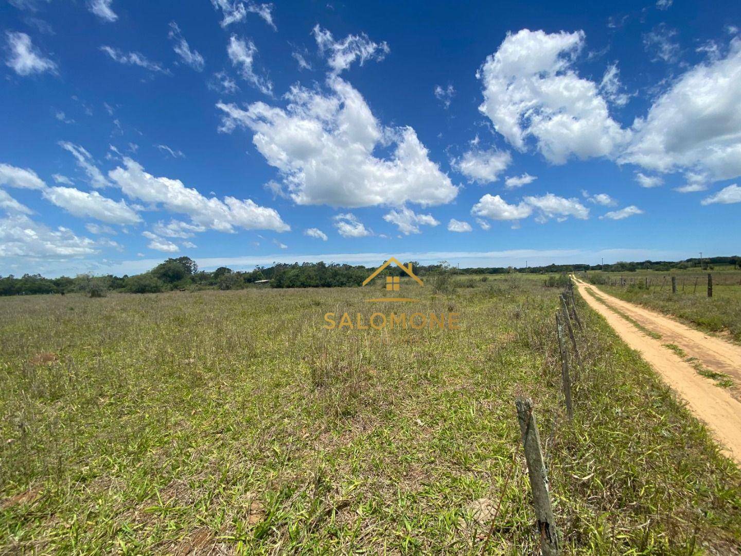 Sítio, 2 hectares - Foto 8