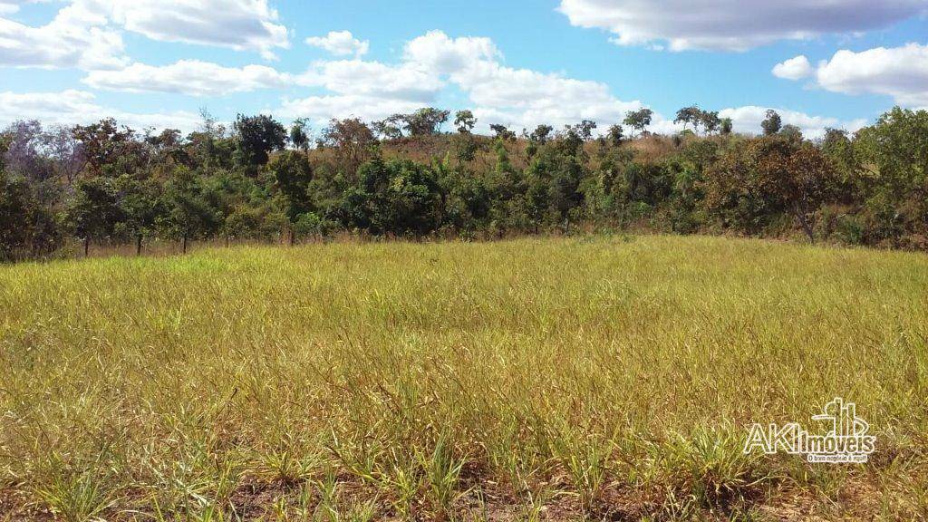 Fazenda à venda com 2 quartos, 4500000M2 - Foto 15