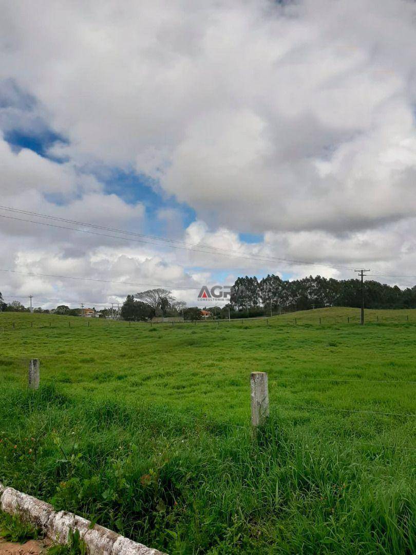 Fazenda-Sítio-Chácara, 1000 m² - Foto 1