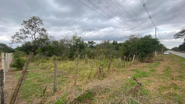 Terreno à venda, 10000m² - Foto 11