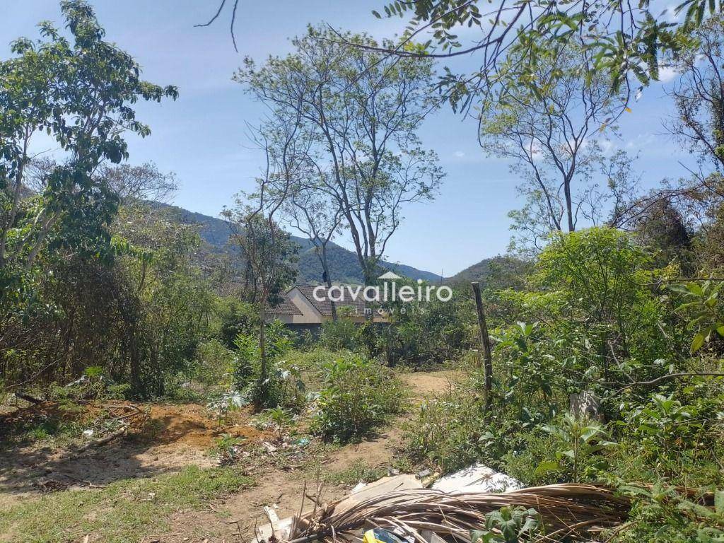 Terreno à venda, 360M2 - Foto 3