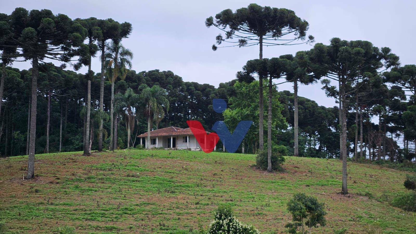 Fazenda à venda com 3 quartos, 1694000M2 - Foto 8