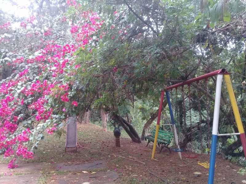 Fazenda à venda com 3 quartos, 100m² - Foto 4