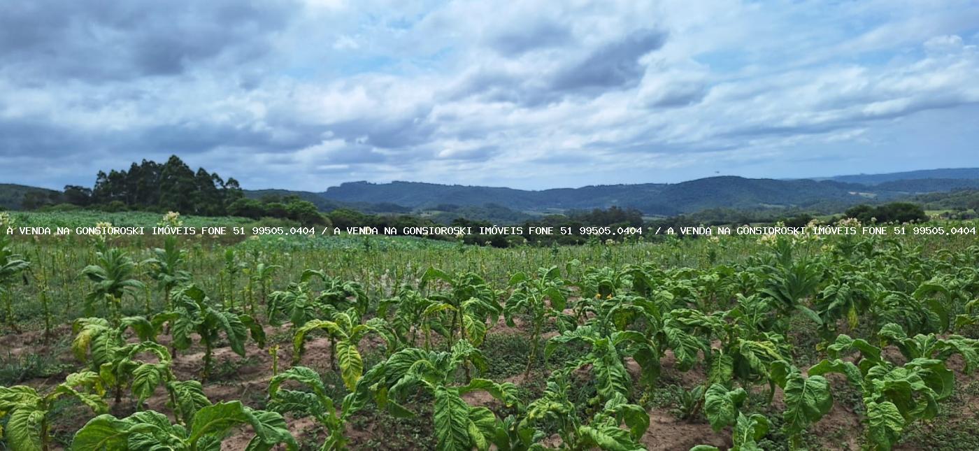 Loteamento e Condomínio à venda, 125000m² - Foto 22