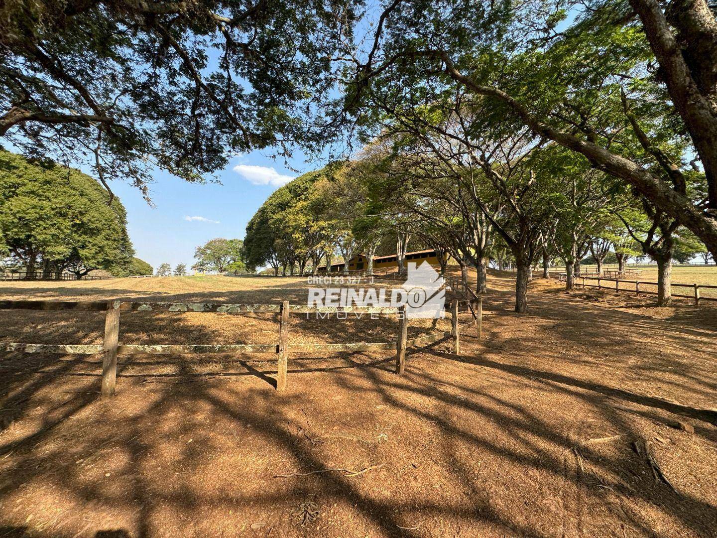 Haras e Área Rural Padrão à venda com 8 quartos, 5000m² - Foto 111