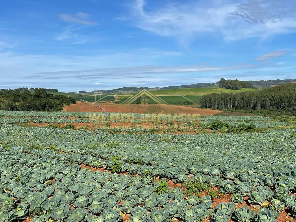 Fazenda à venda, 85m² - Foto 1