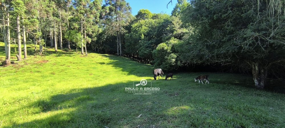 Fazenda à venda com 2 quartos, 13700m² - Foto 9