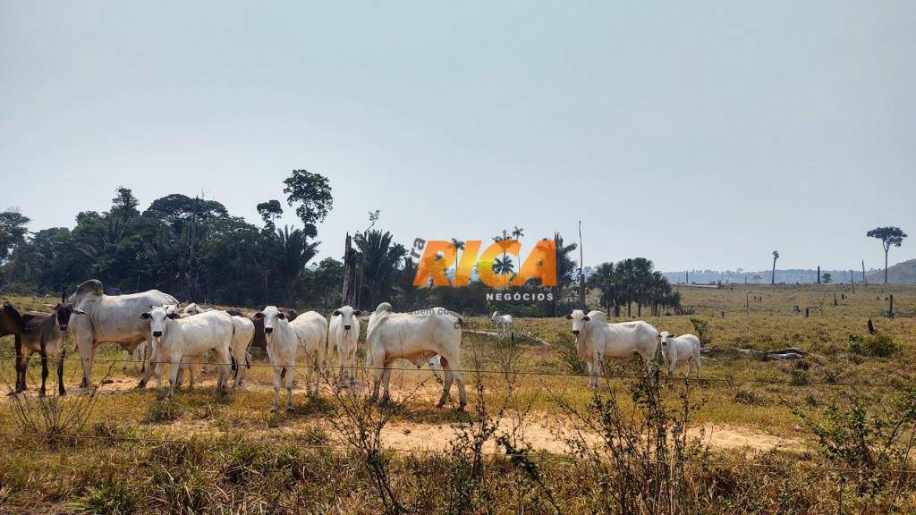 Fazenda à venda com 2 quartos, 39370000M2 - Foto 20