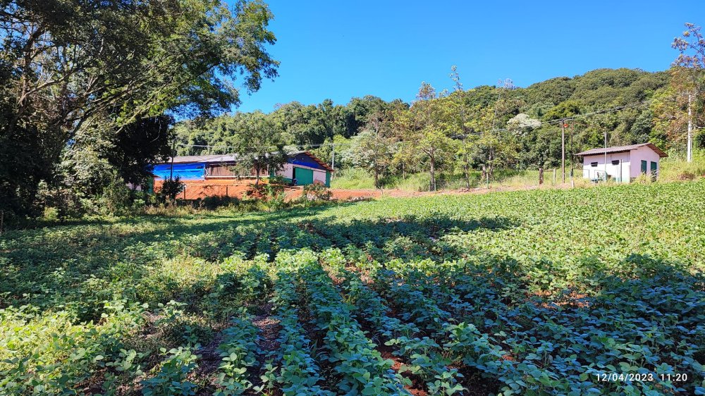 Fazenda à venda, 12m² - Foto 15