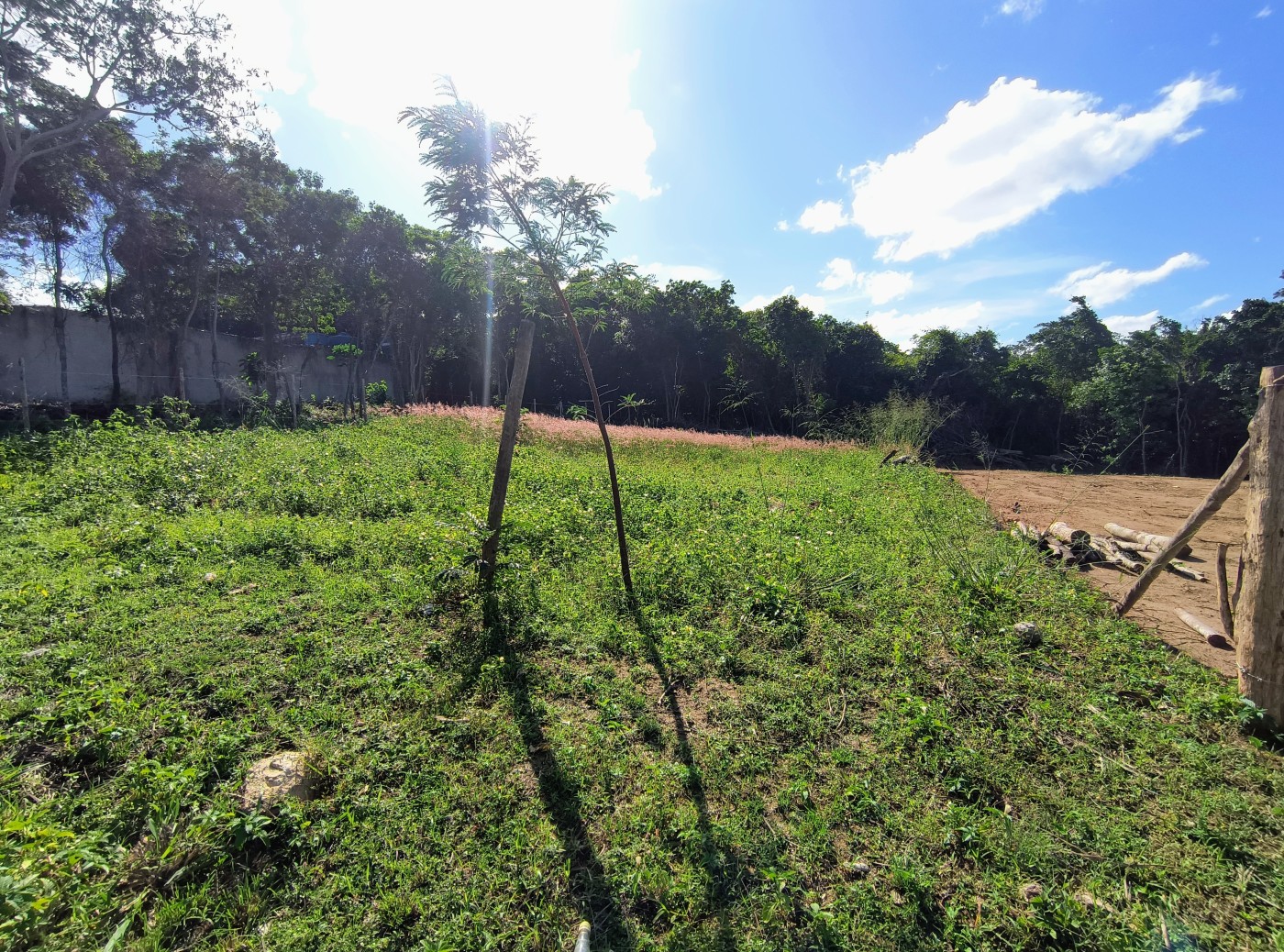 Terreno à venda, 450m² - Foto 5