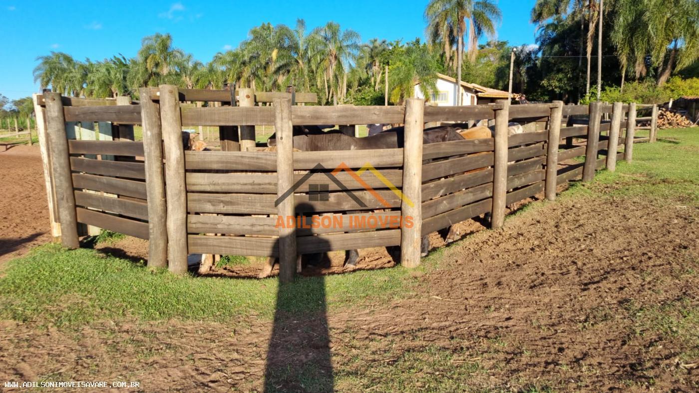 Chácara à venda com 4 quartos, 2300m² - Foto 10