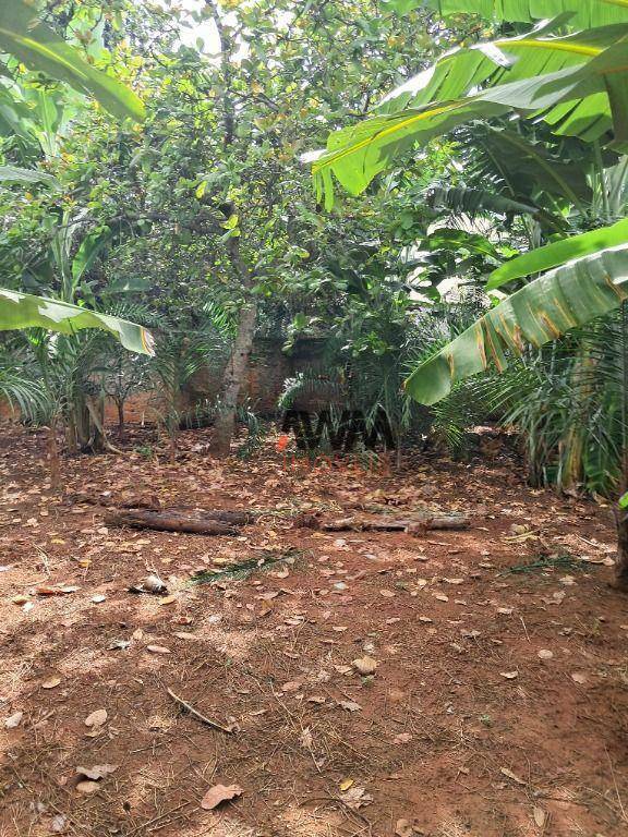 Terreno, 2635 m² - Foto 3