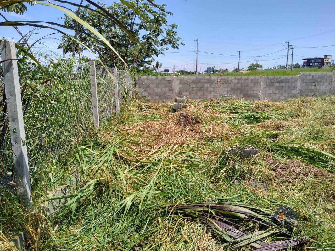 Loteamento e Condomínio à venda, 10000M2 - Foto 14